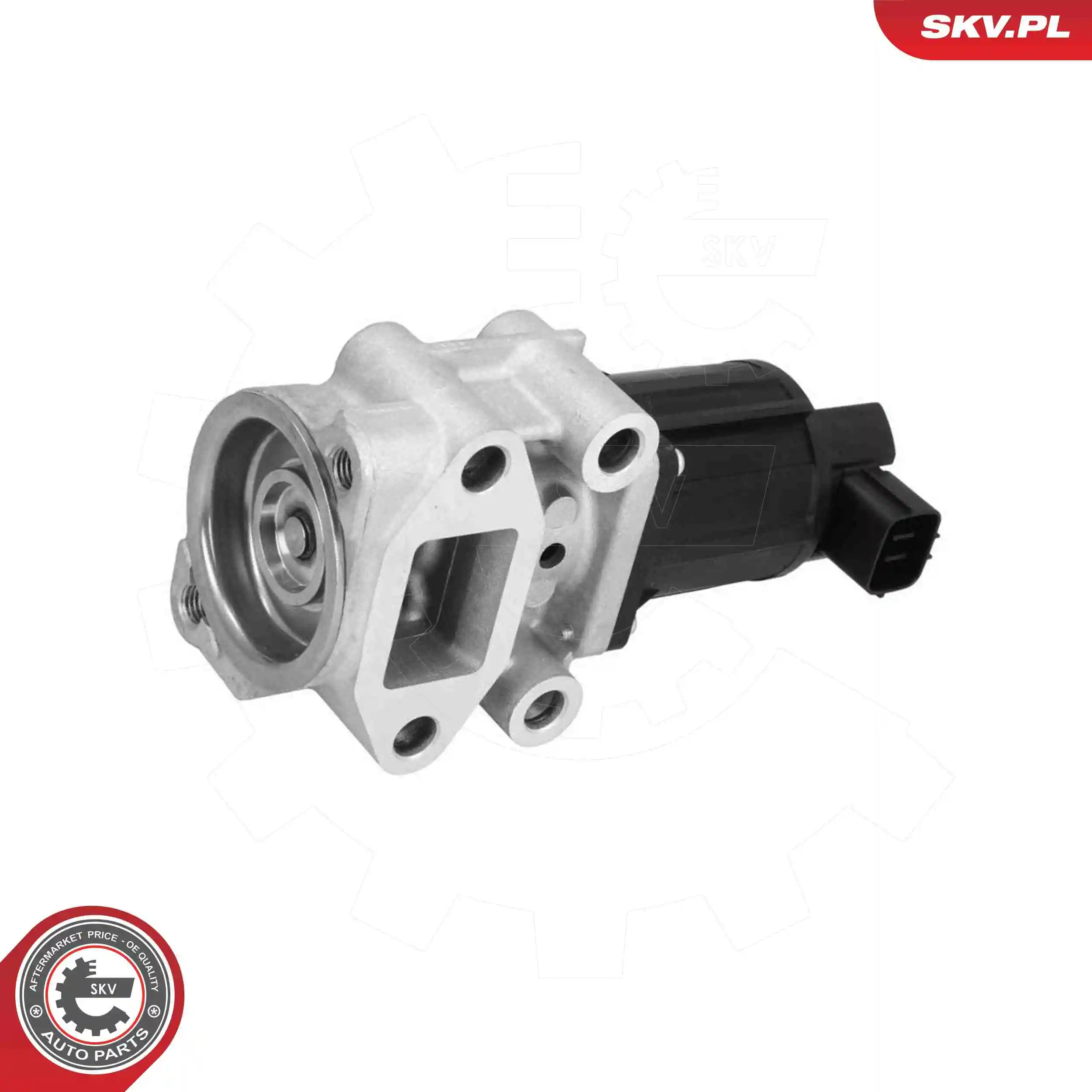 EGR Valve